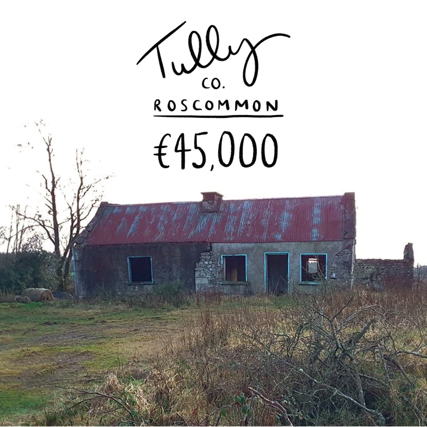 Tully, Co. Roscommon. €45k