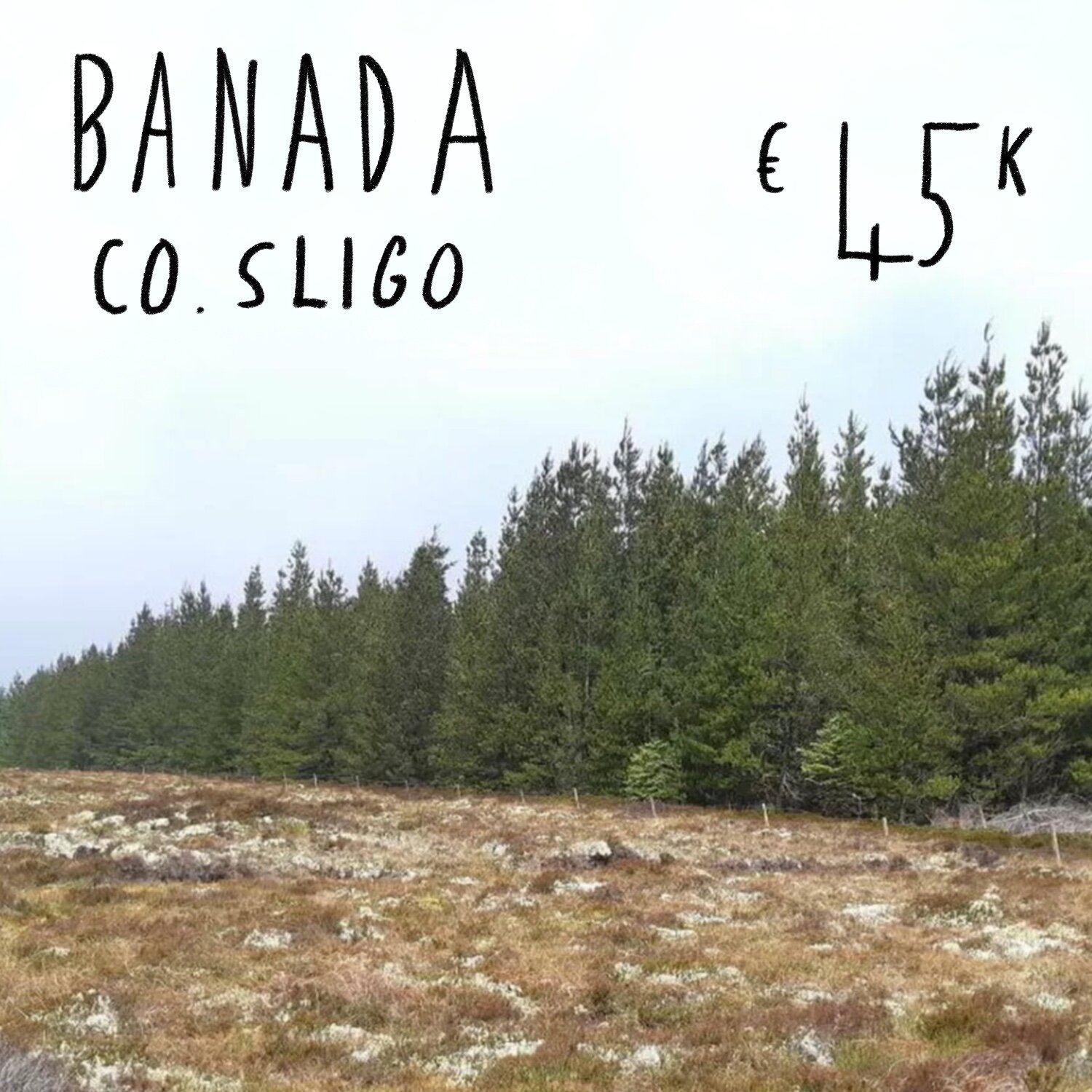 Banada, Co. Sligo. €45k