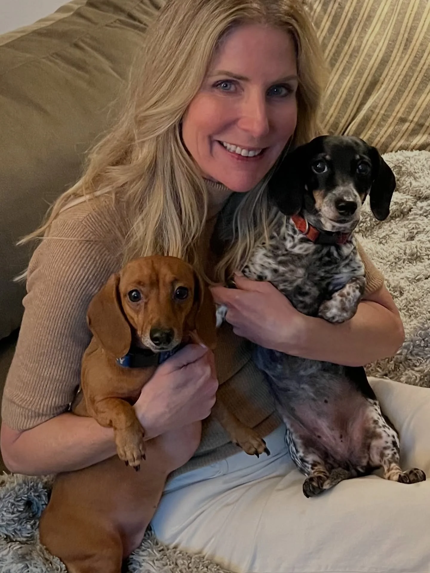 Got a fur baby at home? So do we! 🐾💚
That&rsquo;s why we&rsquo;re supporting the Humane Society of Charlotte @humanecharlotte and their Pet Food Bank &mdash; which helps families in our community who are struggling to feed their pets.

Bring wet or