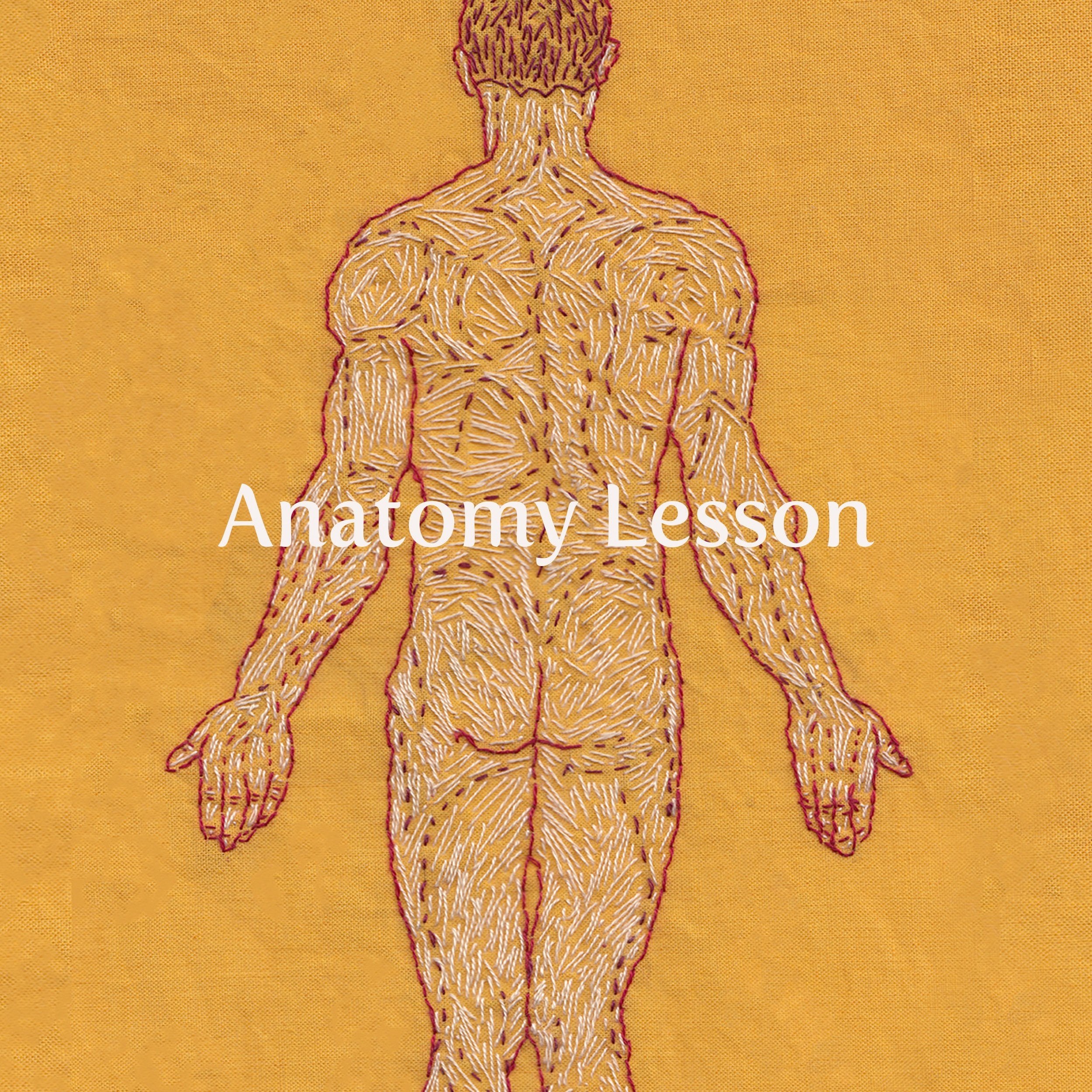 ANATOMY LESSON for Homepage rev'd  COMPRESSED2.jpg