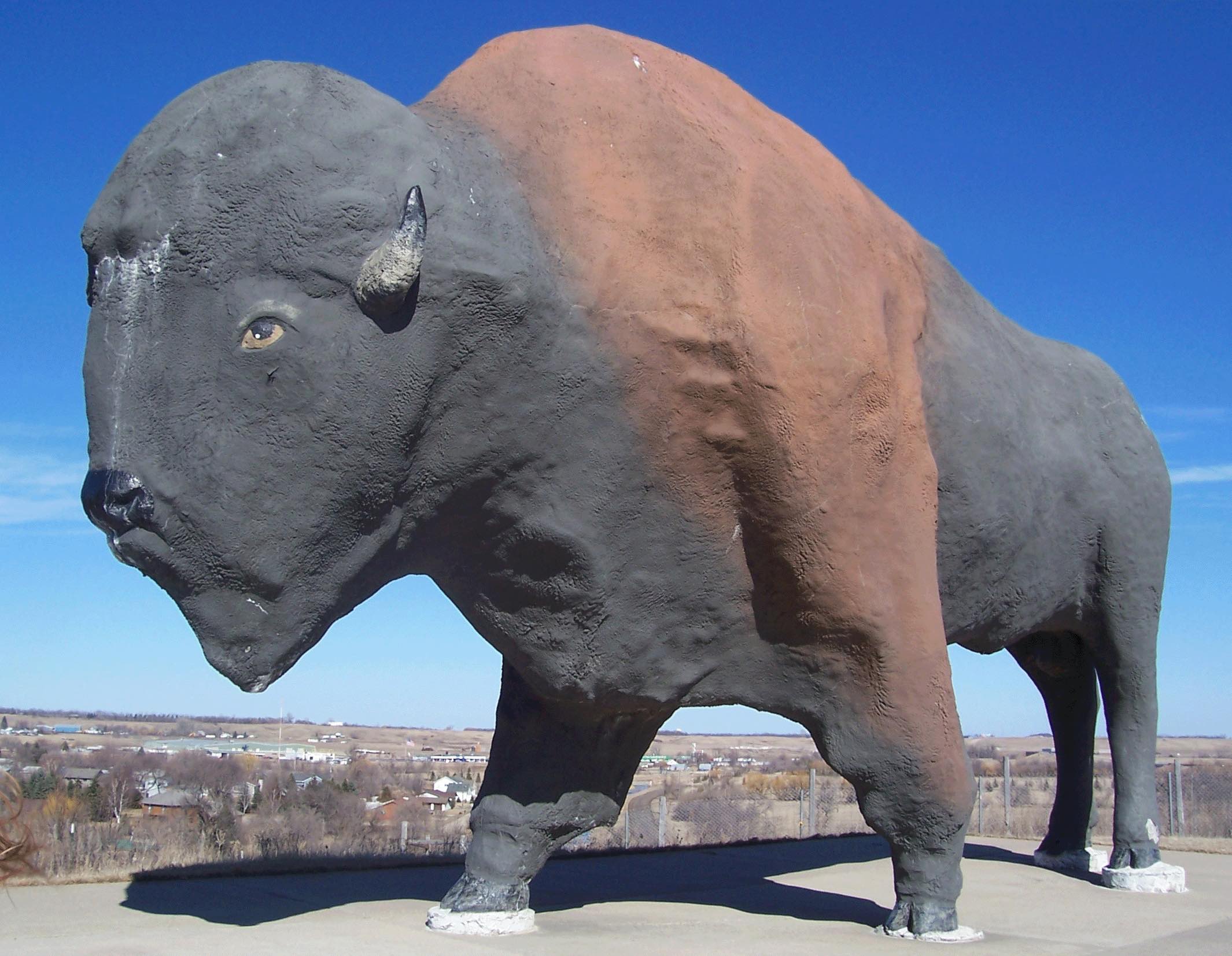 The world's tallest buffalo statue located in Jamestown, ND