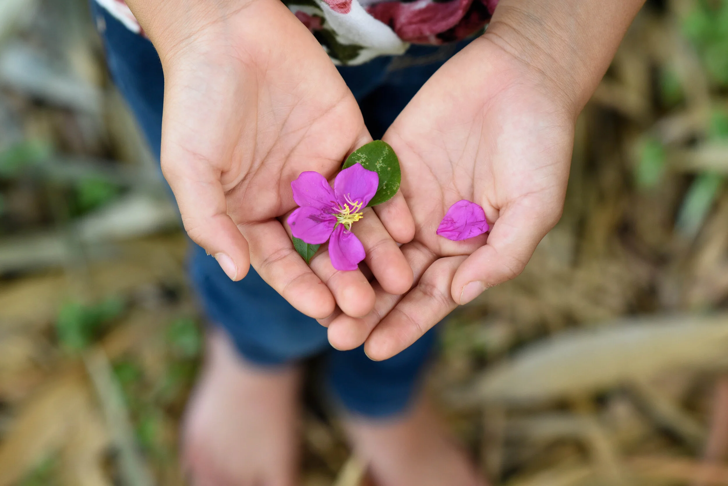 holding a little bit of hope.