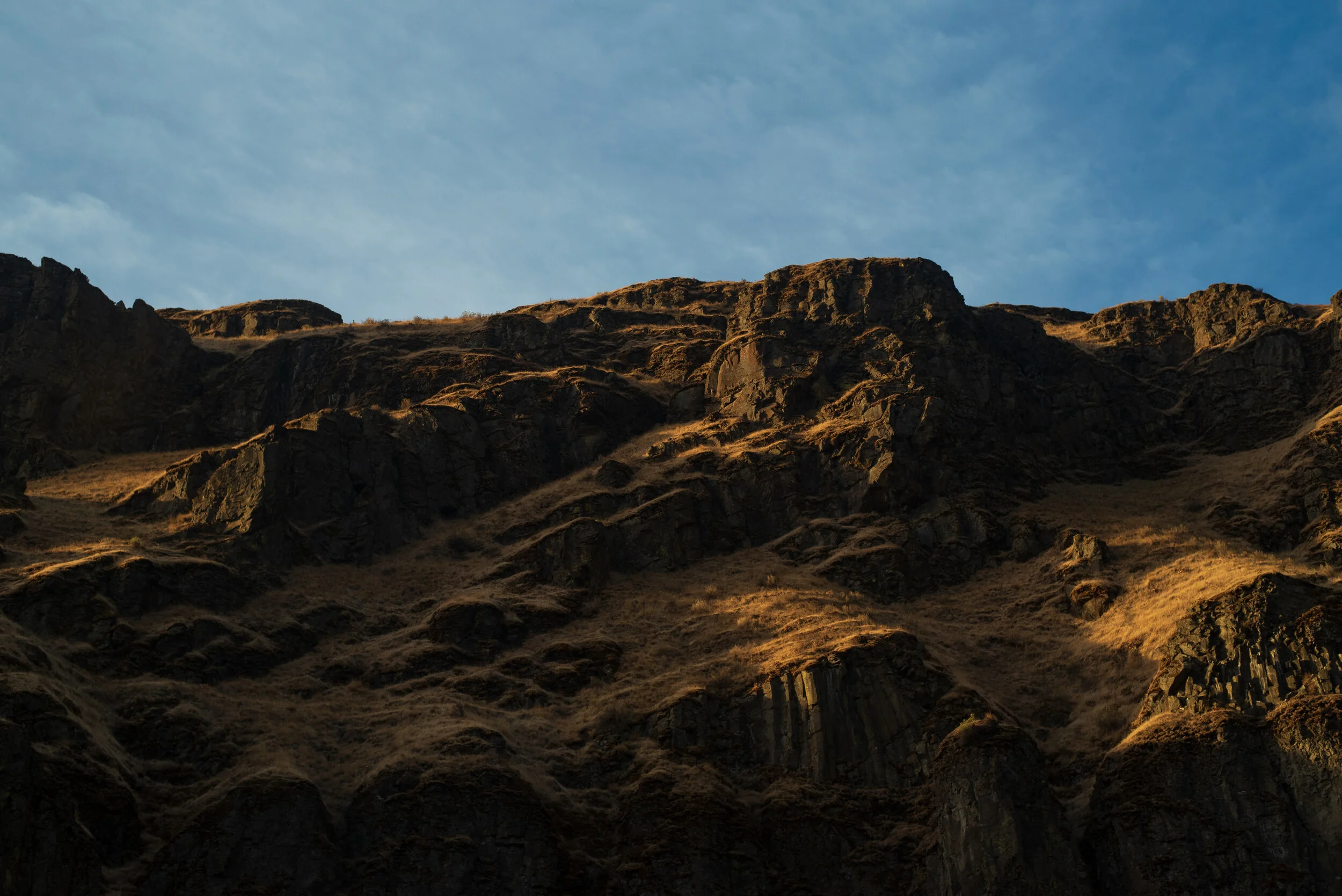 _DSC3529.jpg