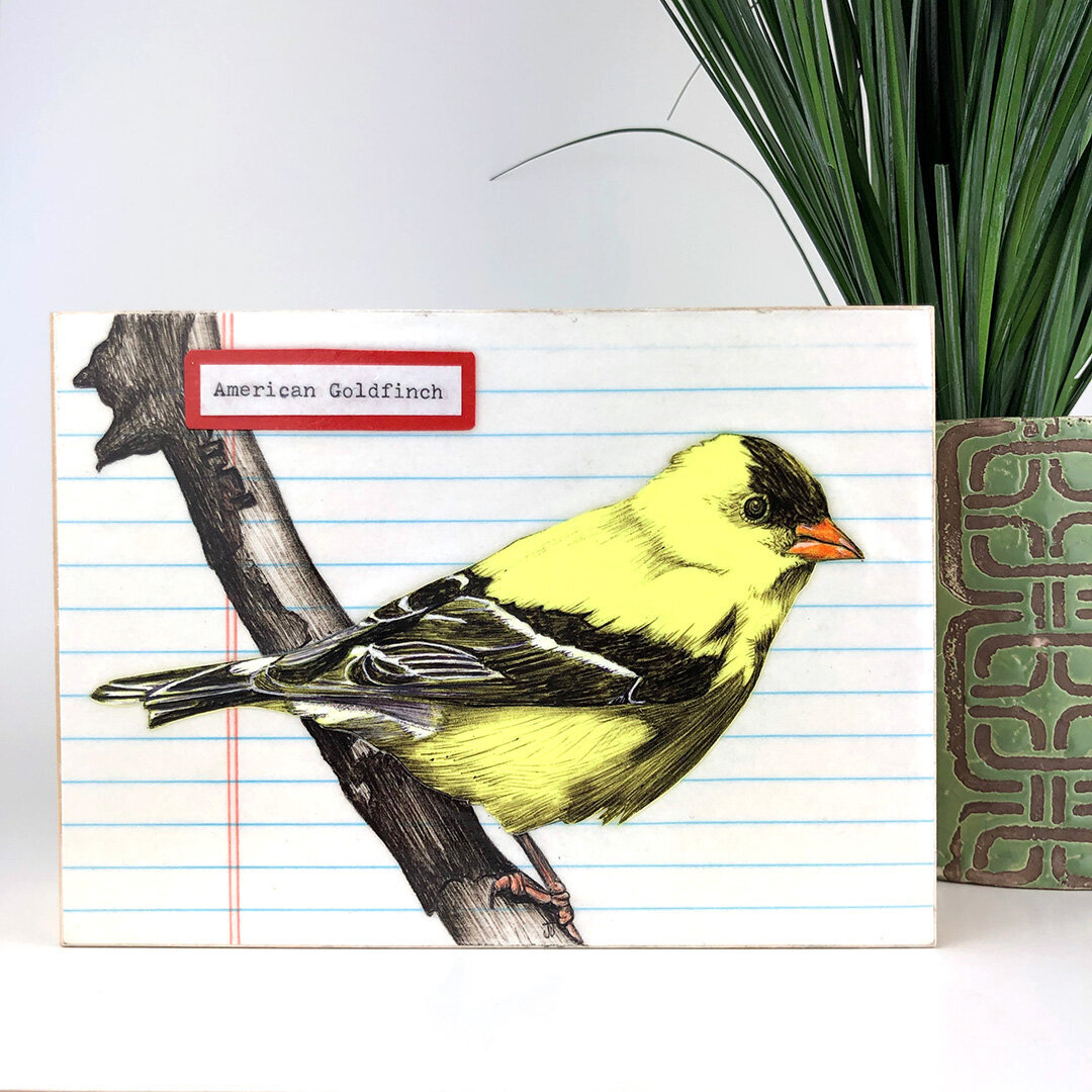 American-Goldfinch-2014.jpeg