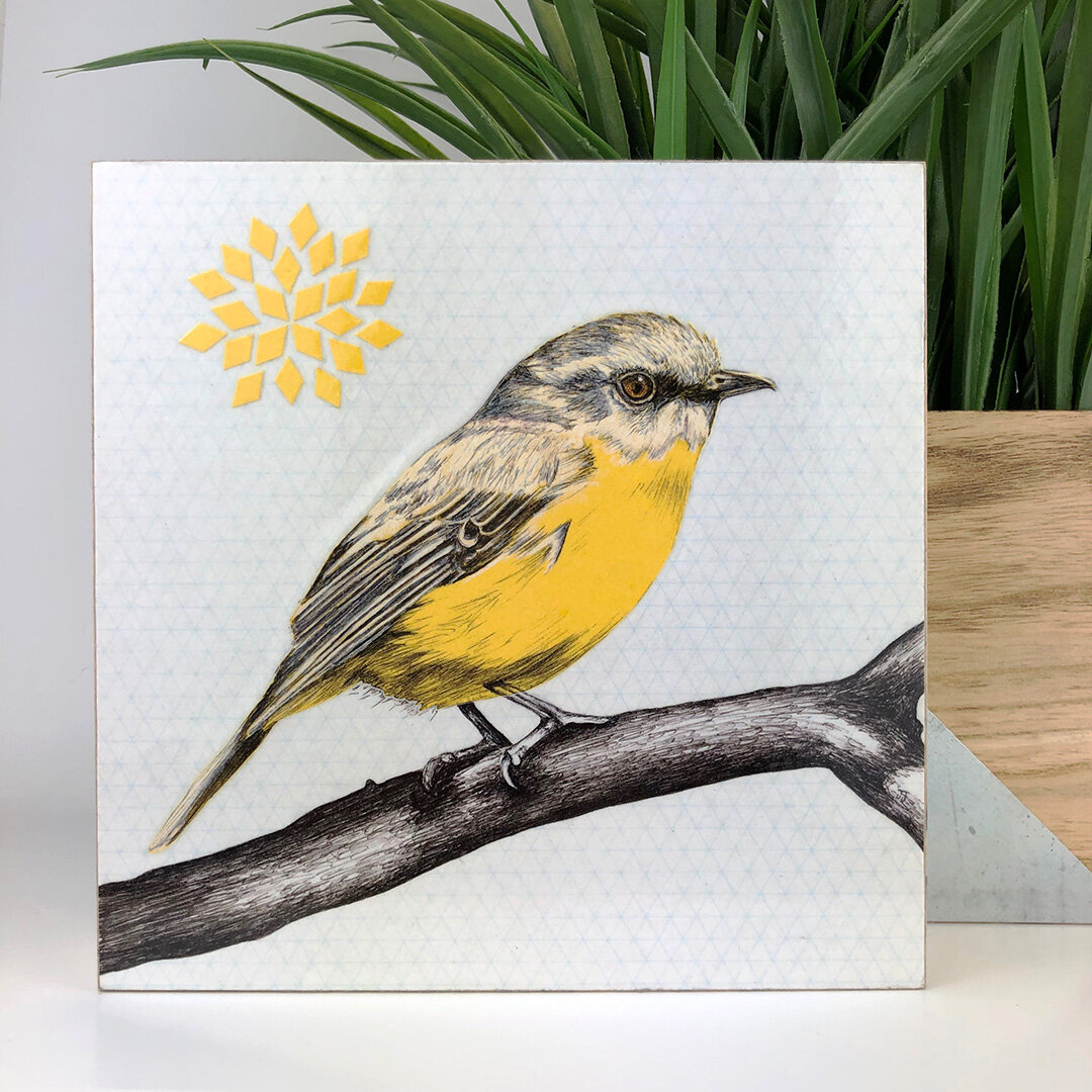 Yellow-Robbin-drawing-2015.jpeg