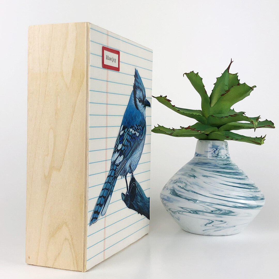 Bluebird-illustration-Mounted.jpeg