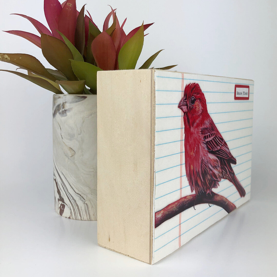 Housefinch-mounted-original-illustration.jpeg