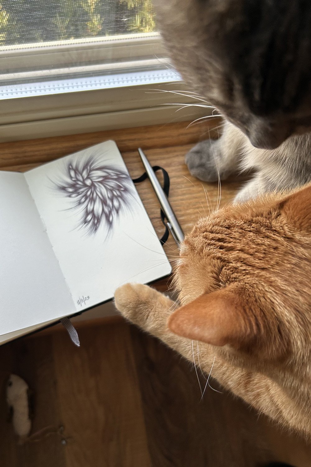 11-12-23-Cats&Sketchbook.jpg