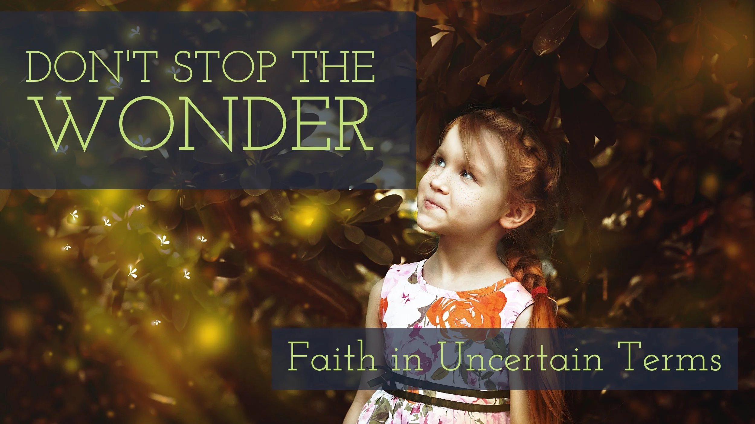 Don't Stop the Wonder