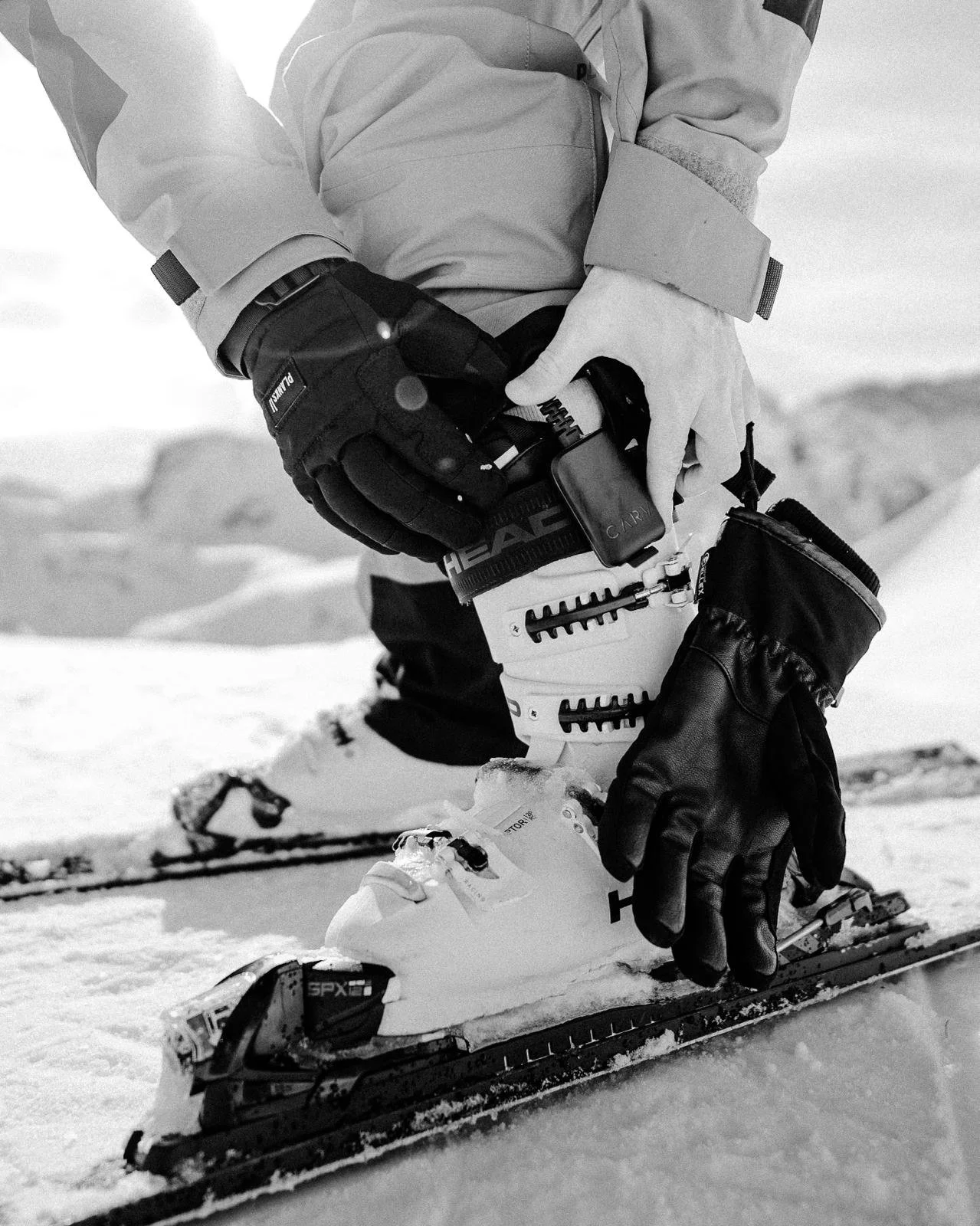 WhatsApp Image 2024-02-16 at 17.04.21.jpeg