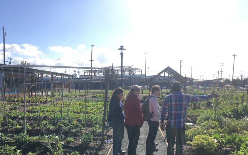  For Real Food’s goal was to understand the food system and design a product that help promote a more healthy food culture. Here we are touring an urban farm in Oakland, CA. 