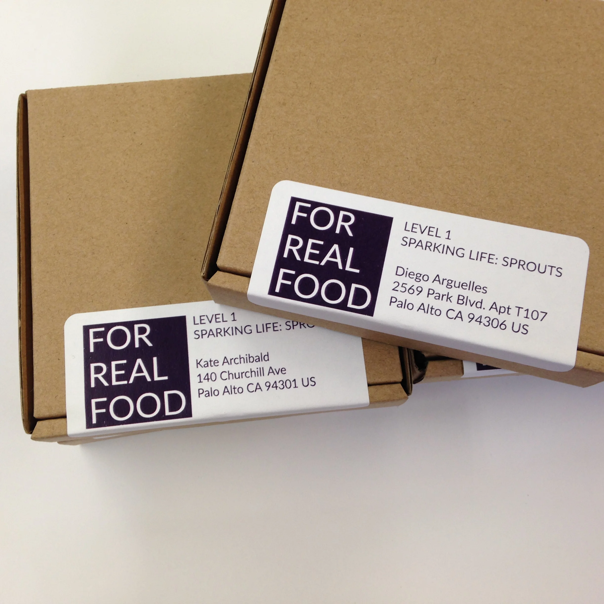  For Real Food focused on making an impact on our food system by teaching people how to grow their own food. How do you ensure that a user can successfully grow sprouts so they can develop their gardening confidence? 