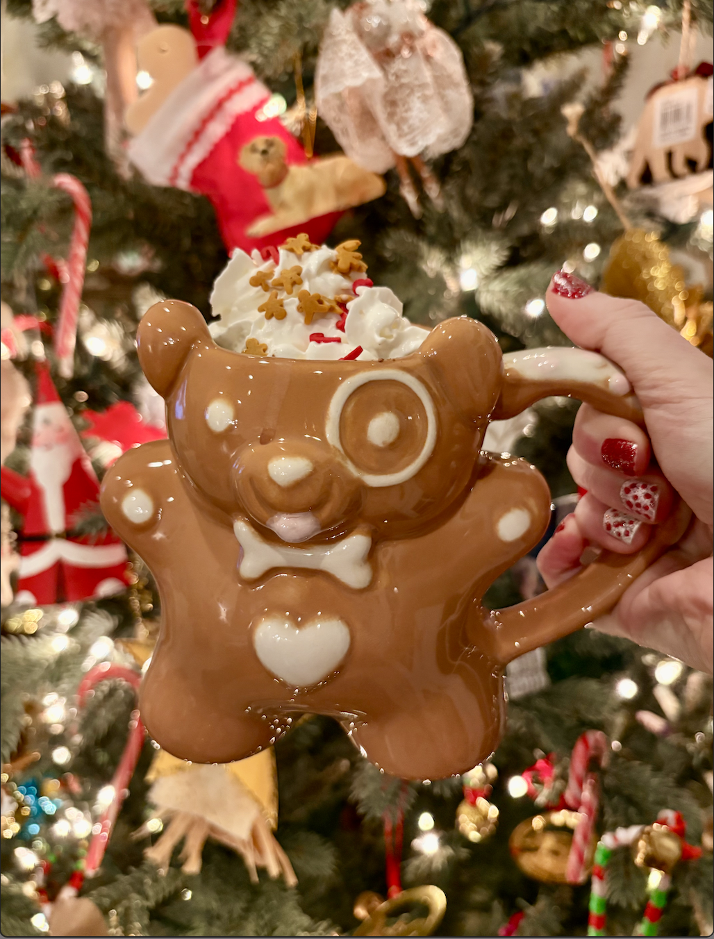 Christmas 2025 Diary Entry 