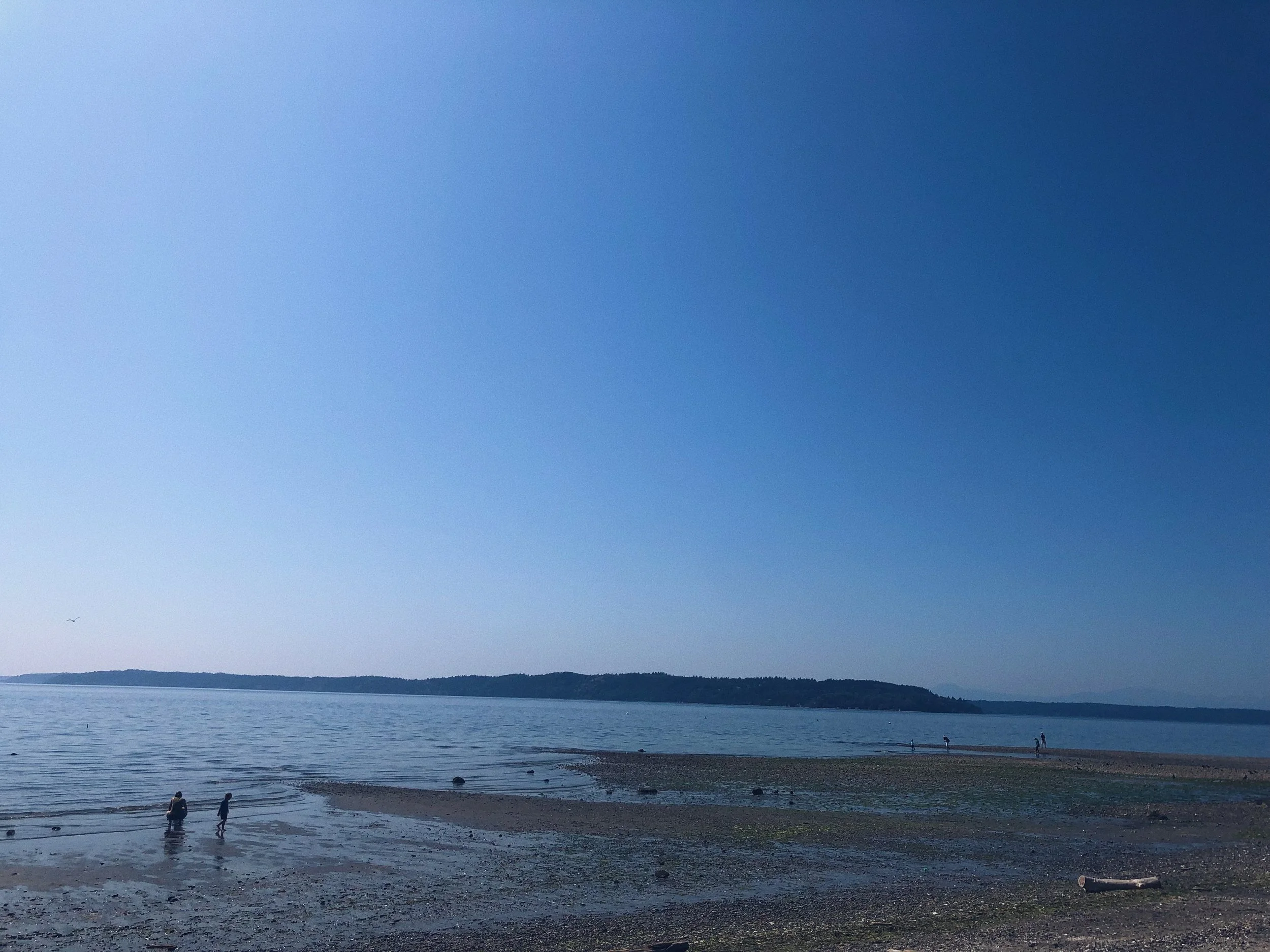 Saltwater State Park 