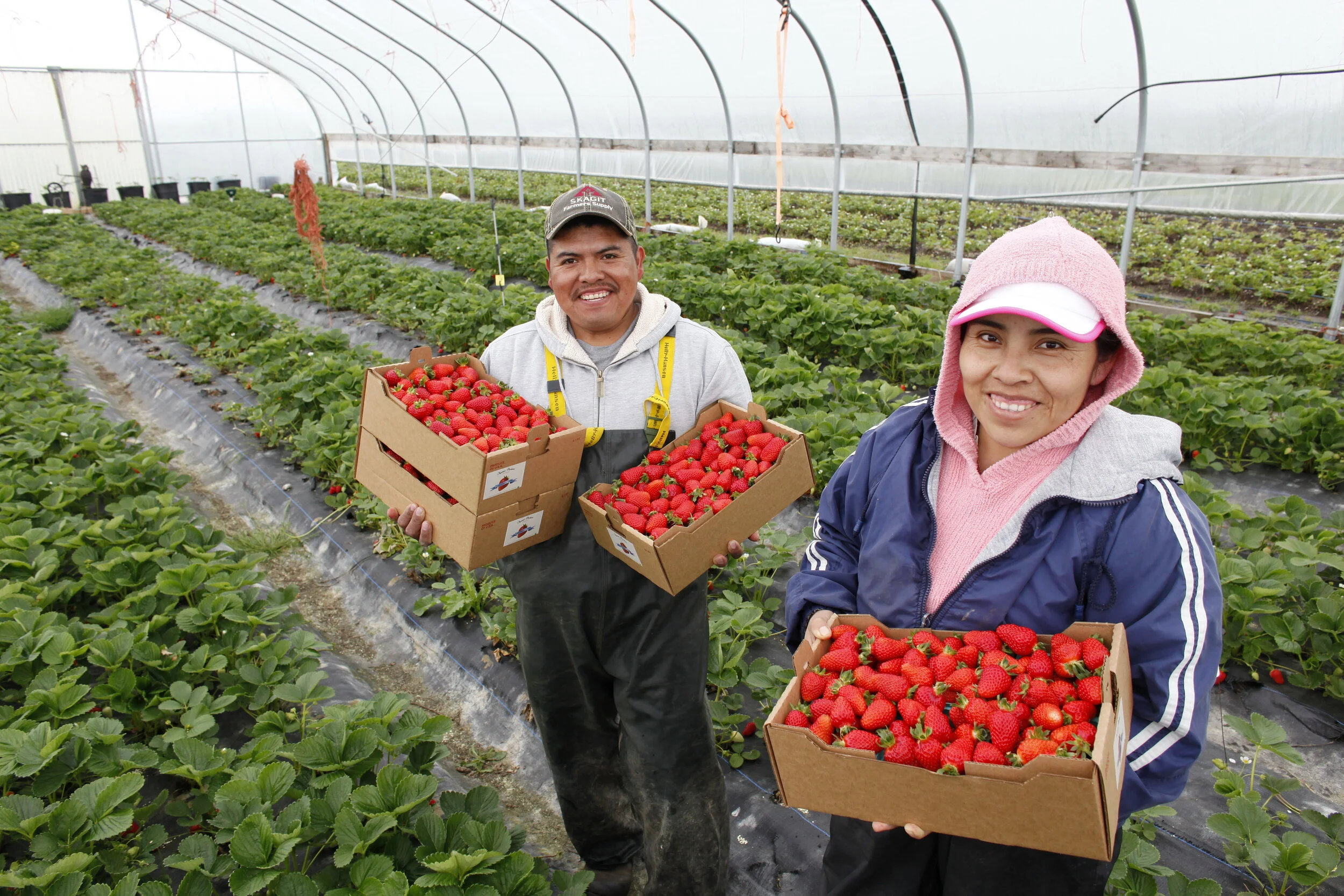 #WeArePugetSound: Healthy Food and Farms During COVID-19 