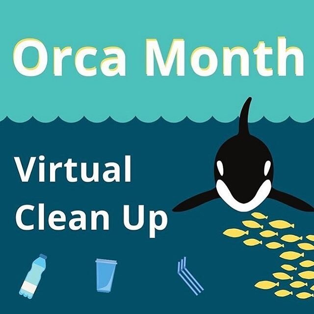 Tune in now to @pugetsoundkeeper’s LIVE right here on Instagram ☀️ For #WorldOceansDay, they are chatting about how marine debris impacts the health of wildlife like Southern Resident orcas and our communities. 🌊 And follow @orcamonth for ways