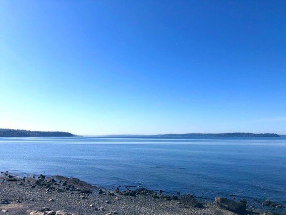 🌊 TOMORROW, June 25, at 12 noon is our next #WeArePugetSound web event featuring members of the Orca Recovery Task Force. RSVP at the link in our bio today!
•
Speakers will provide an update on the status of the Task Force recommendations for o