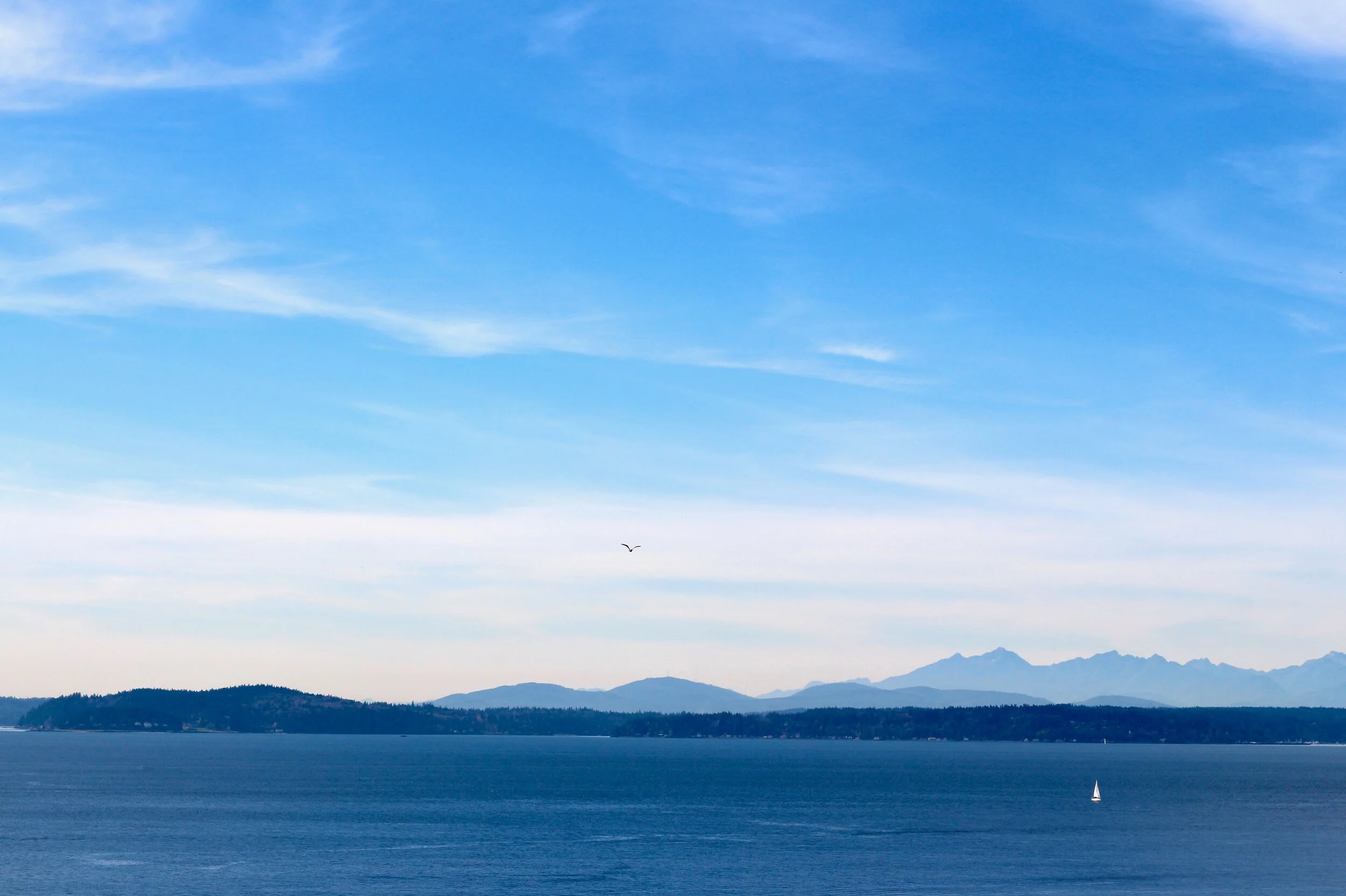 Transformative Educator and Biologist: Dr. Kenneth Chew