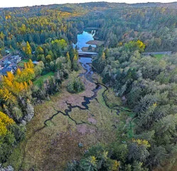 Stillwaters Fall Benefit Event