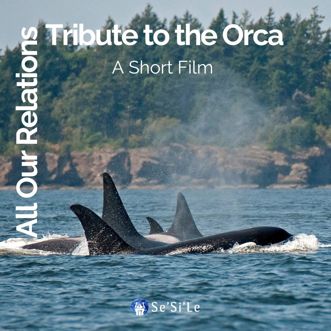 Watch: All Our Relations: Tribute to the Orca