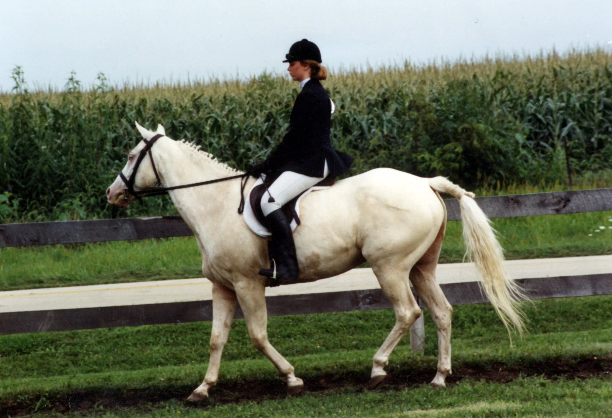 In this case, the horse’s name is “Blog.”
