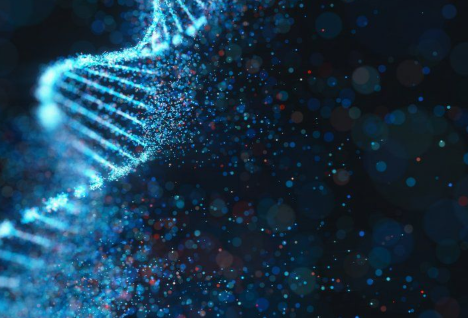 Your Suffering Is My Suffering