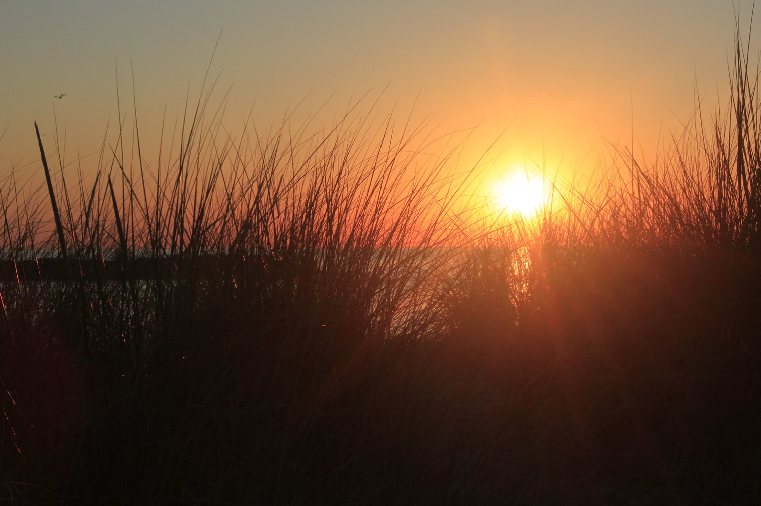 Highlighting 5 Key Points About Self-Growth