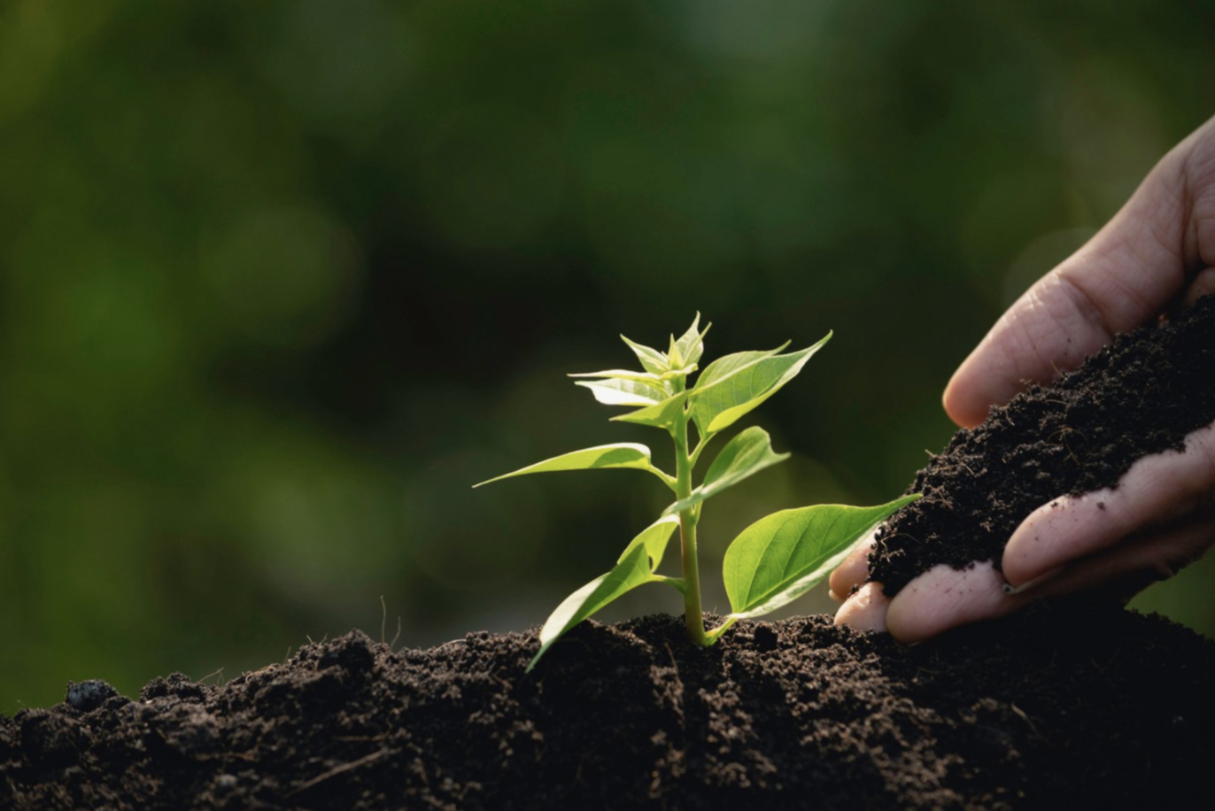 Willpower Depletion &amp; How to Break Negative Habits