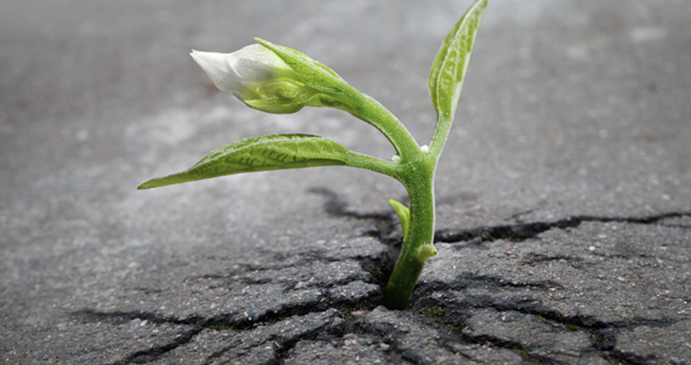 Can You Turn Your Life Around In an Instant?