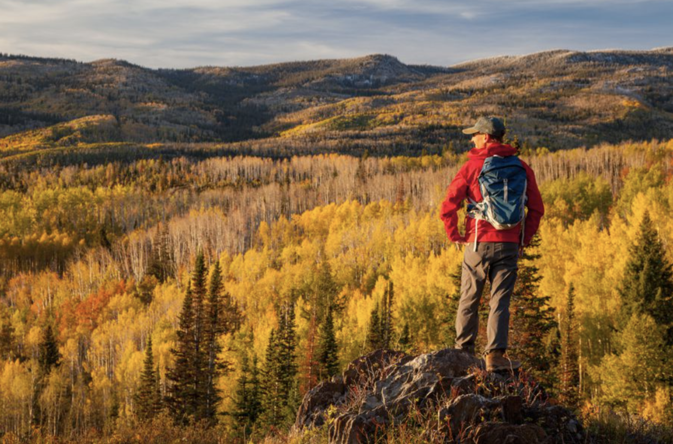 What is the Single Best Exercise?