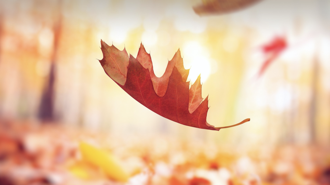 It’s Not The Fall That Hurts, It’s When You Hit The Ground