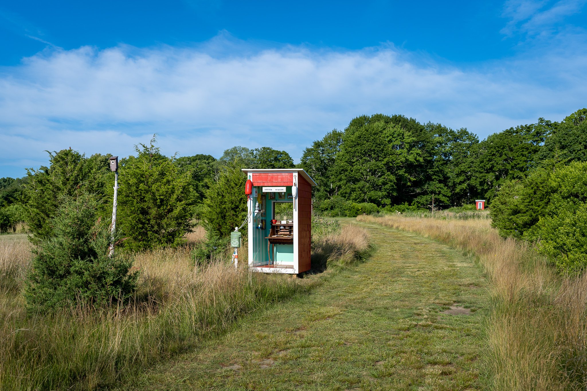 Amelia Wilson, Look Outs and Letters, 2022. Photo by Maddie Van 22.jpg