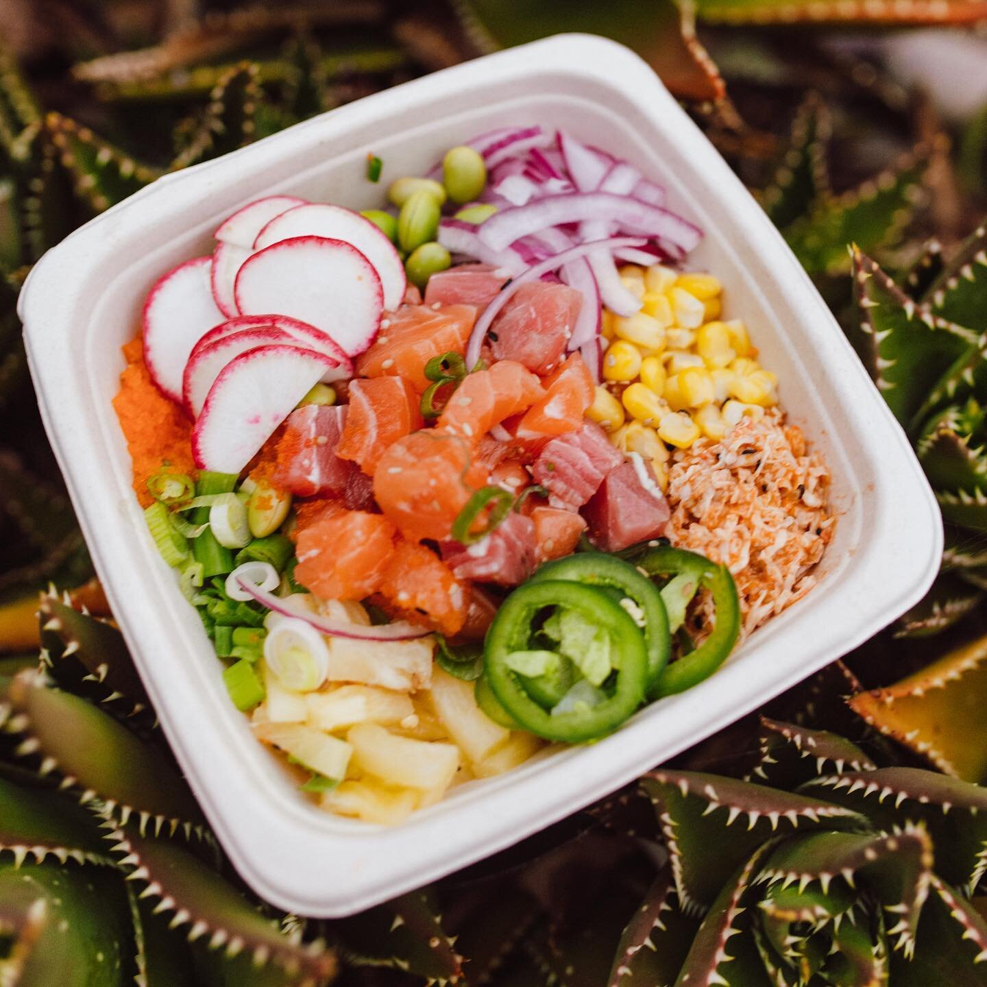 Poki Poki — Fallbrook's newest food option — poke bowls with lots of  veggies and bubble tea – Everything Fallbrook .org