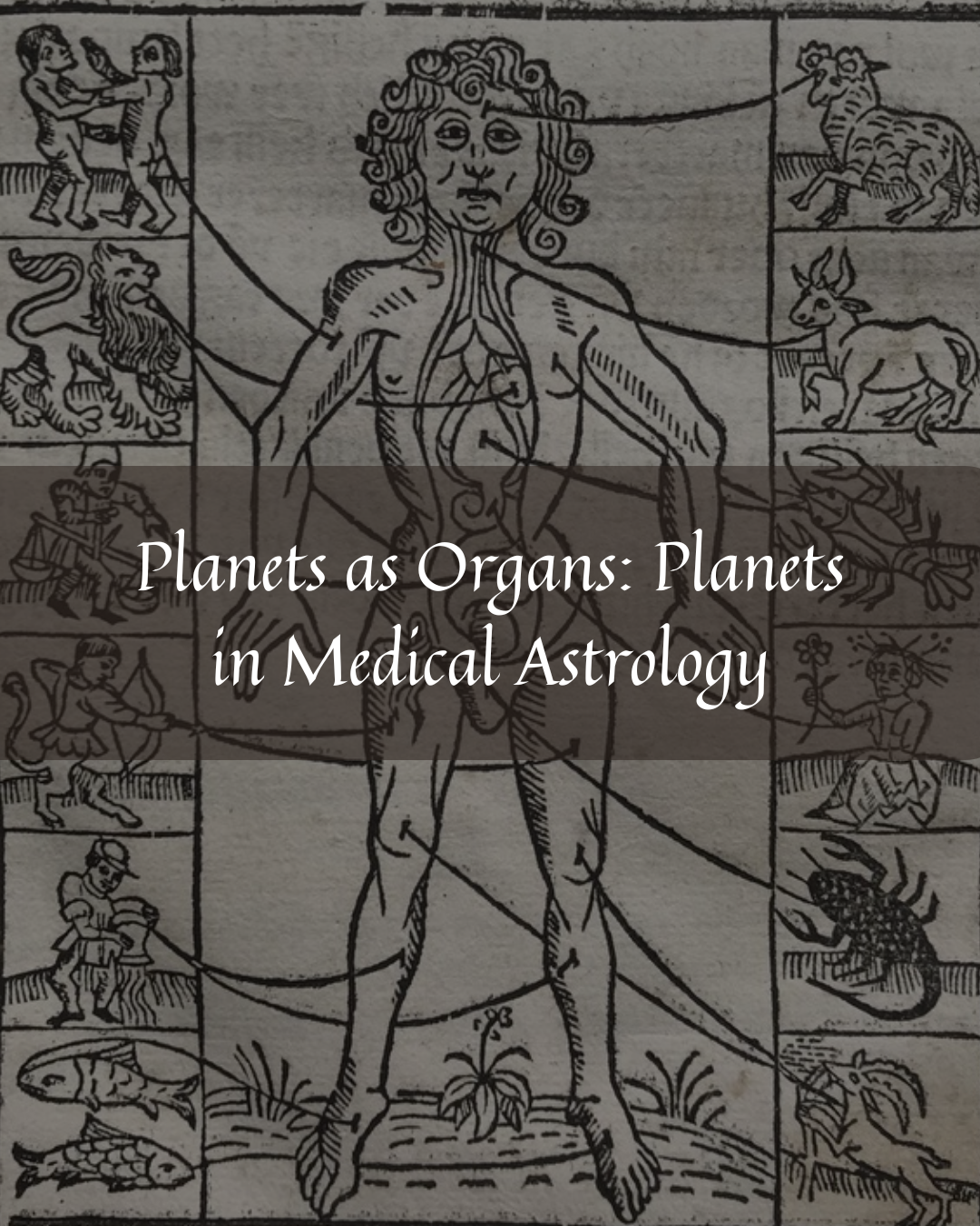Planets in Medical Astrology:&nbsp;Planets as Organs