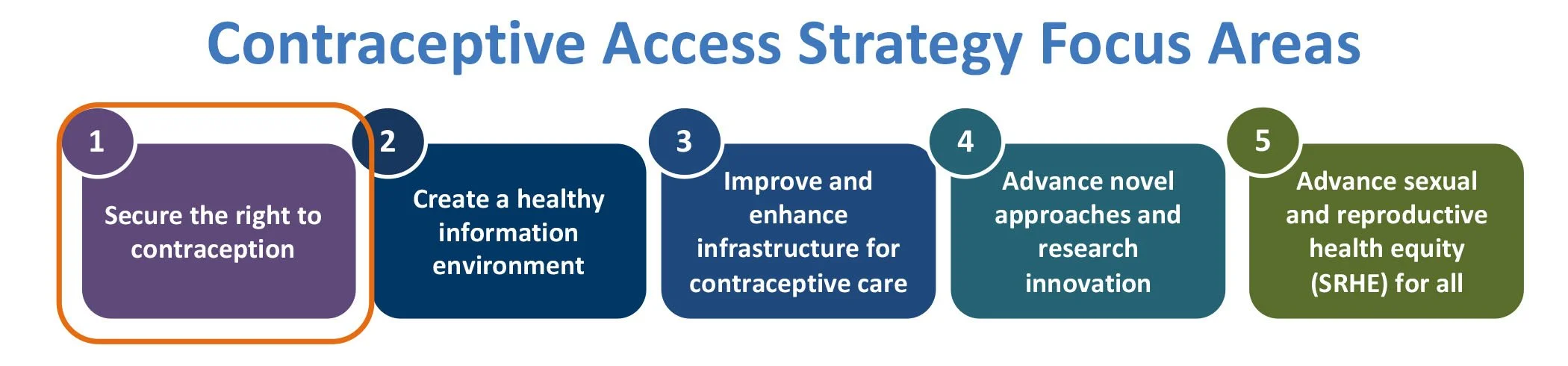 Strategy Focus Areas: 1. Secure the right to contraception. 2. Create a healthy environment. 3. Improve and enhance infrastructure. 4. Advance novel approaches and research innovation. 5. Advance sexual and reproductive health equity for all