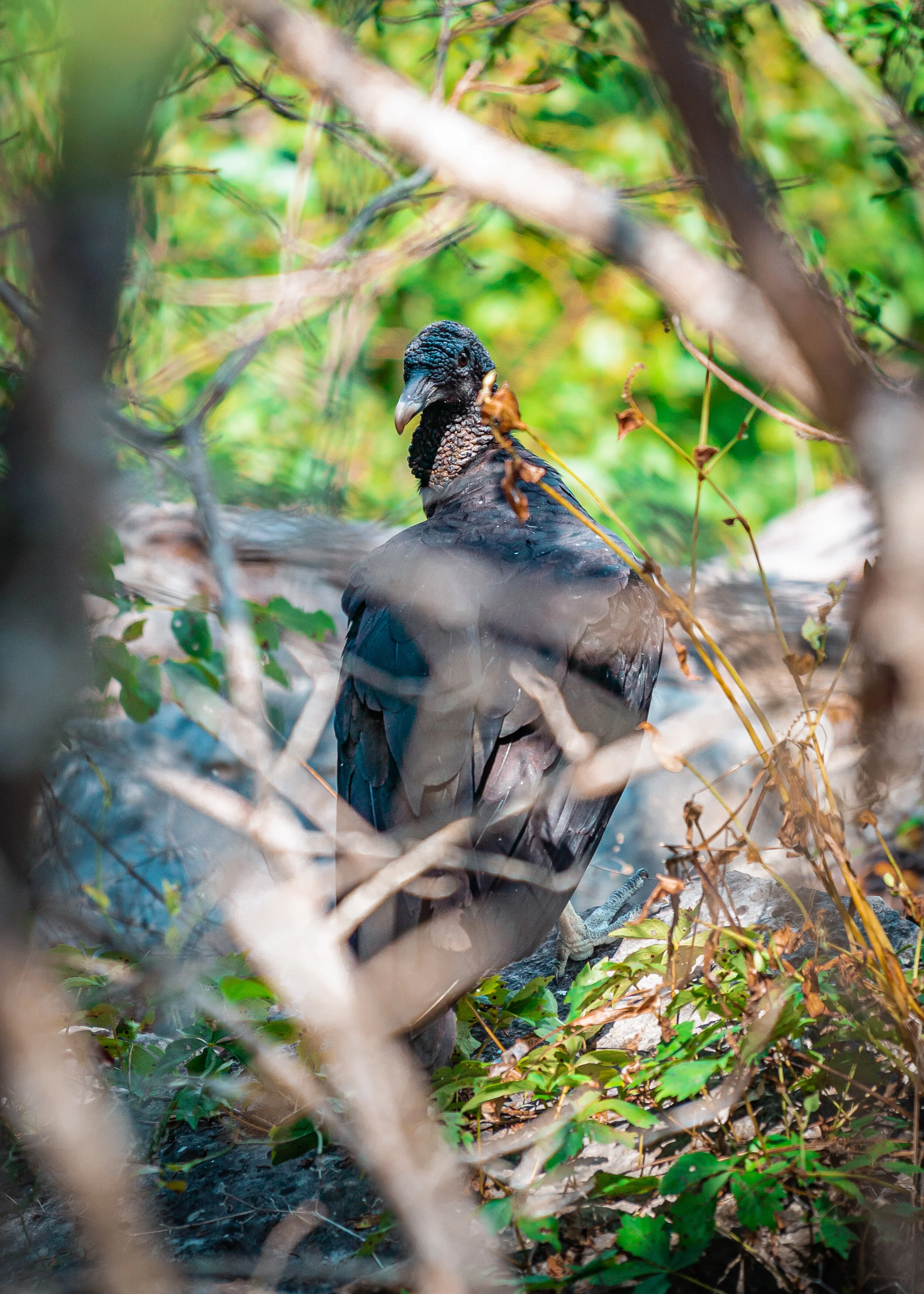 20190713-Bryant_05630.jpg