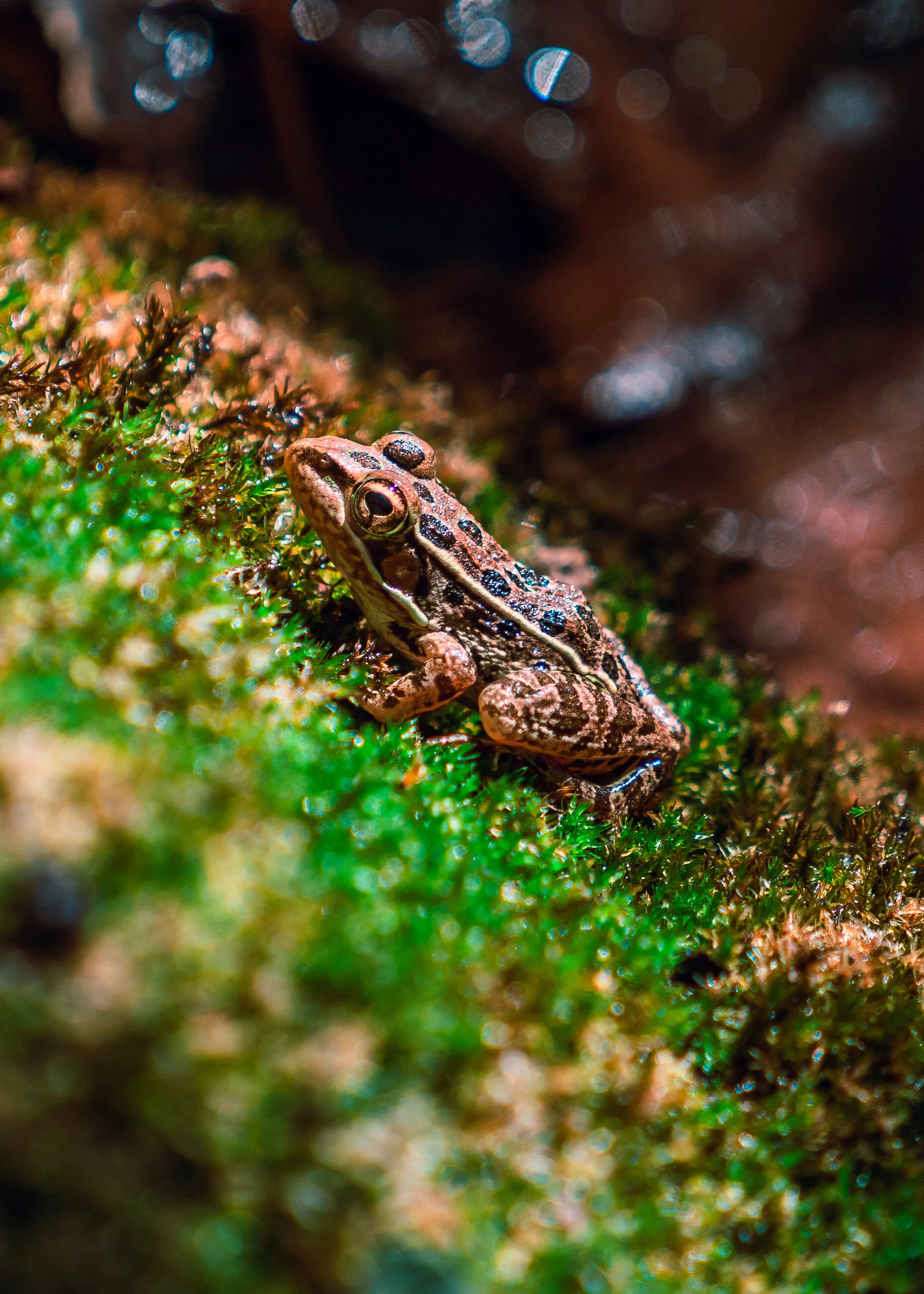 20201102-Bryant_04098.jpg