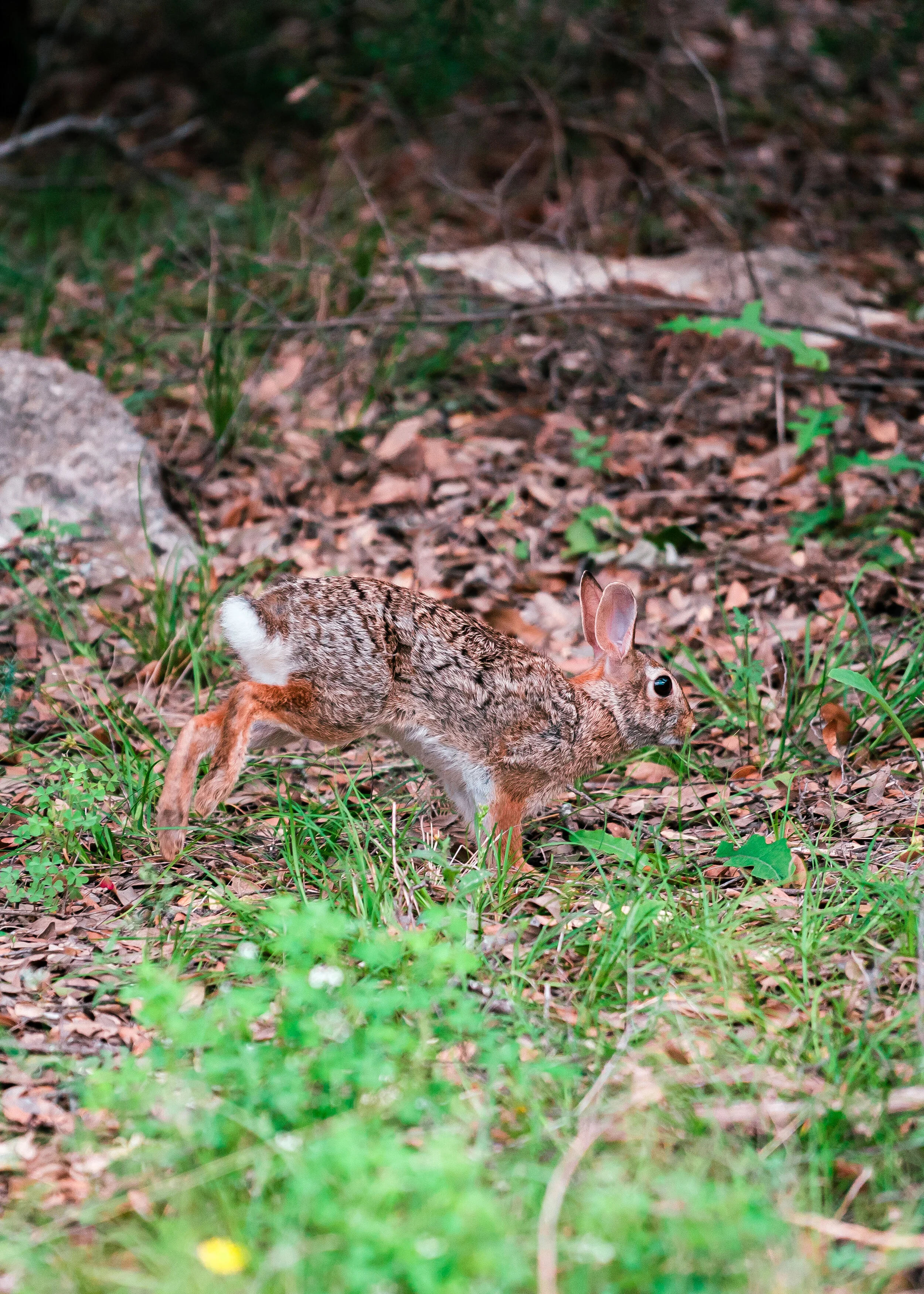20210530-Bryant_06331-Edit.jpg