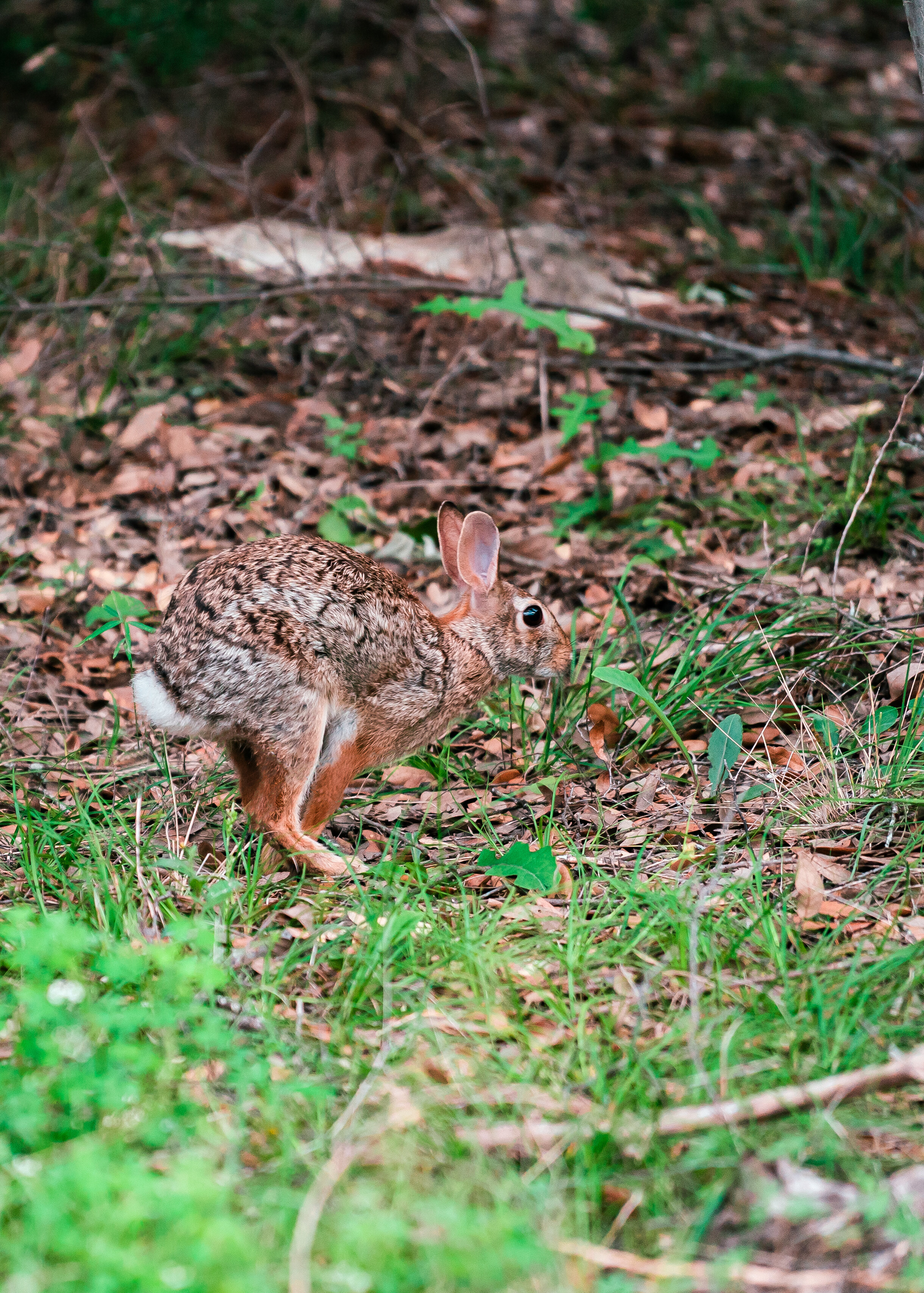 20210530-Bryant_06332-Edit.jpg