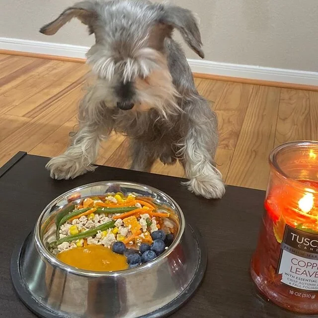 Saying a prayer two times for my pops and one time for this food.
#pupsgiving2019