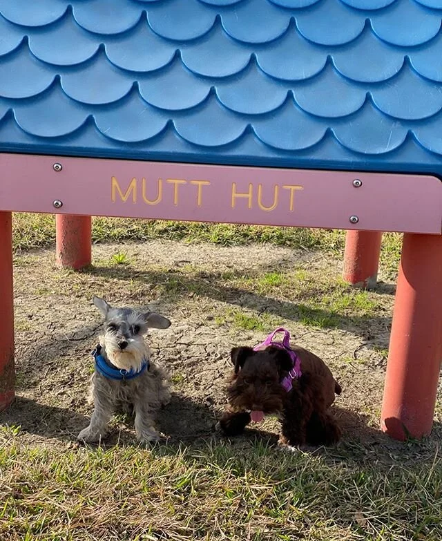 Last time I use a coupon on the back of a cereal box. #chilligansisland #honeymoon