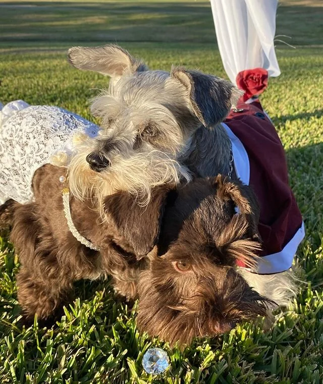 Couldn't make you wait forever, for forever.
#112319