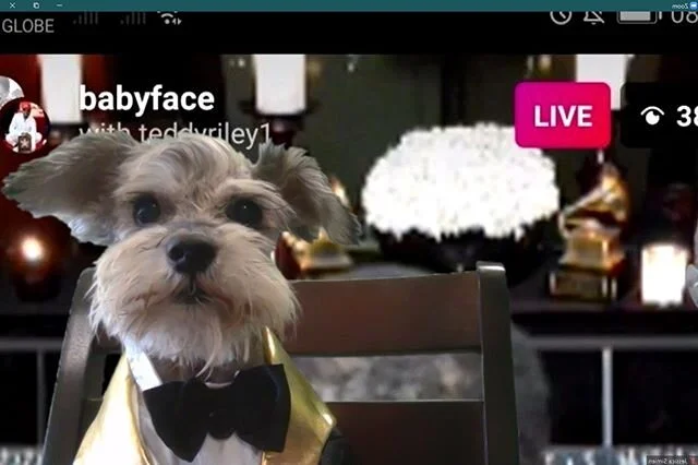 &ldquo;Less is More.&rdquo; -Blazeface  Drop me some paw prints 🐾 if you think I won last night. #hipstergrandpacut 
@babyface @teddyriley1 @verzus