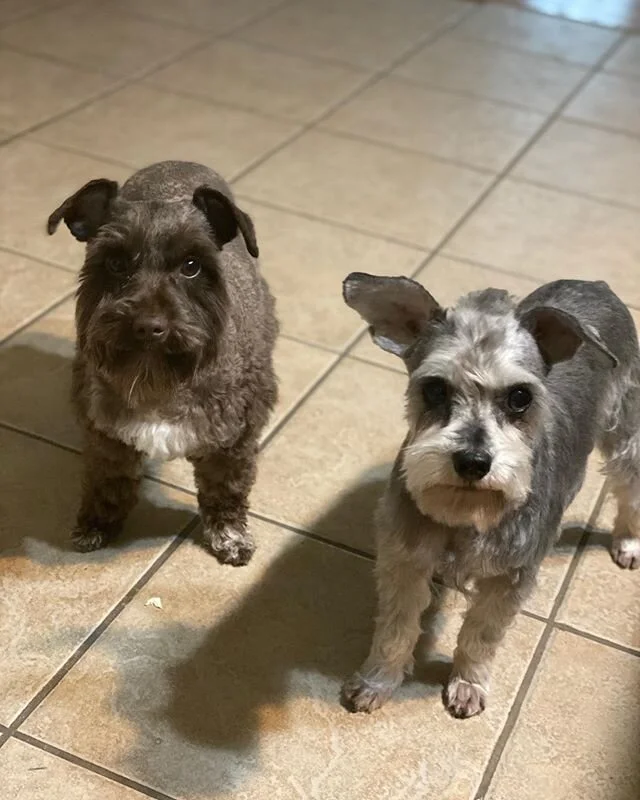 Fresh cutz for me and my lady.