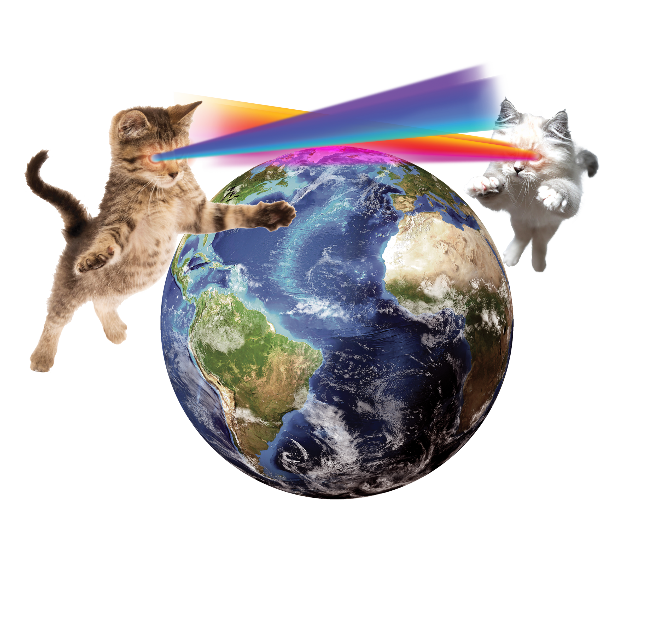 Laser Cat3.png