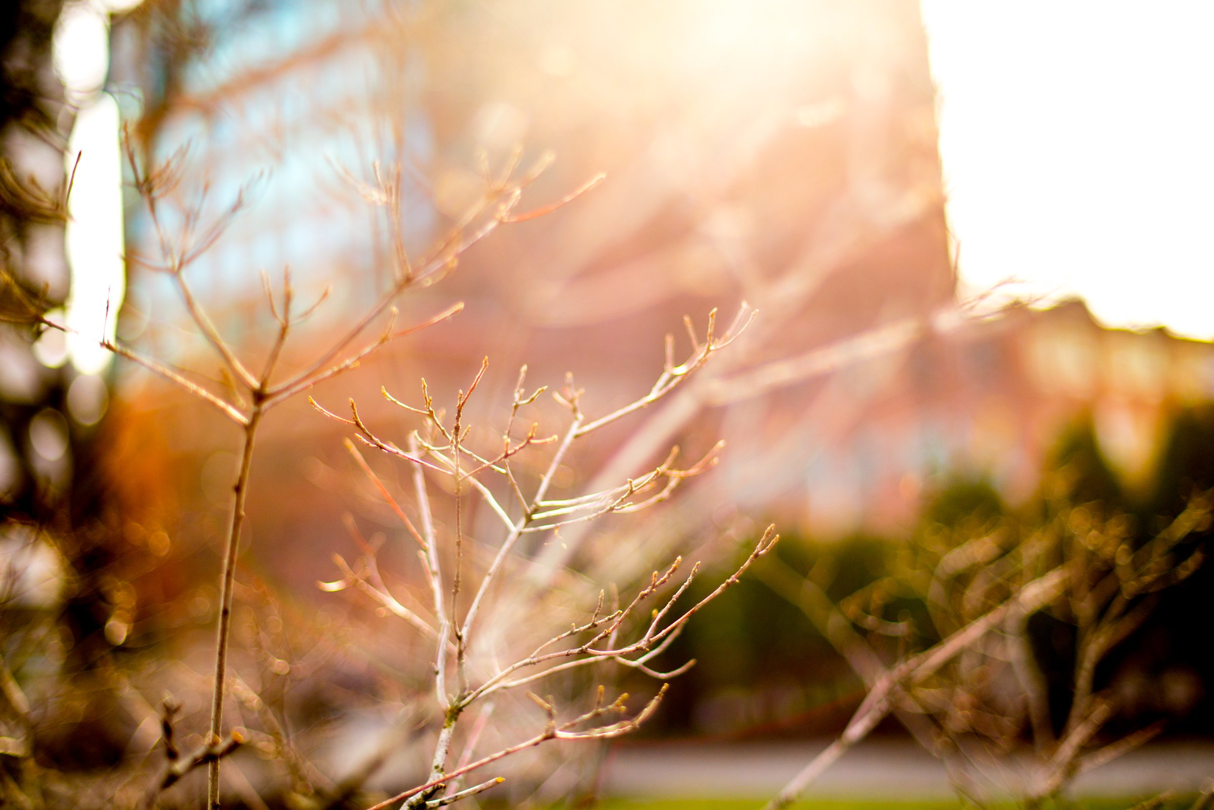 How to Develop Self-Awareness