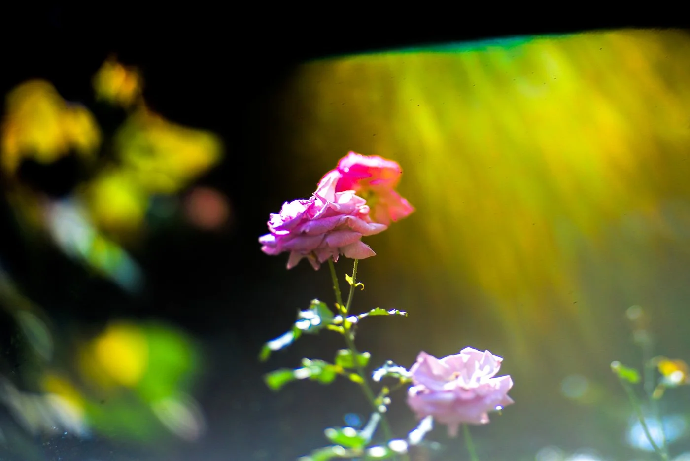 What Is the Gottman Method—and What Does the Research Tell Us About Healthy Relationships?