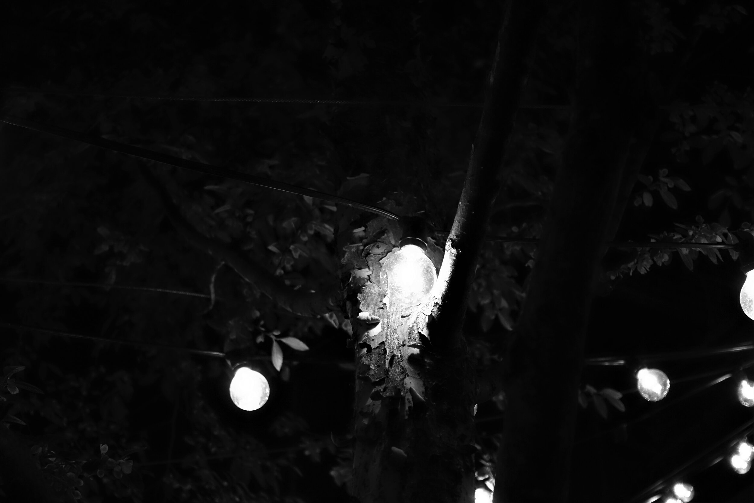 DSC09045.jpg