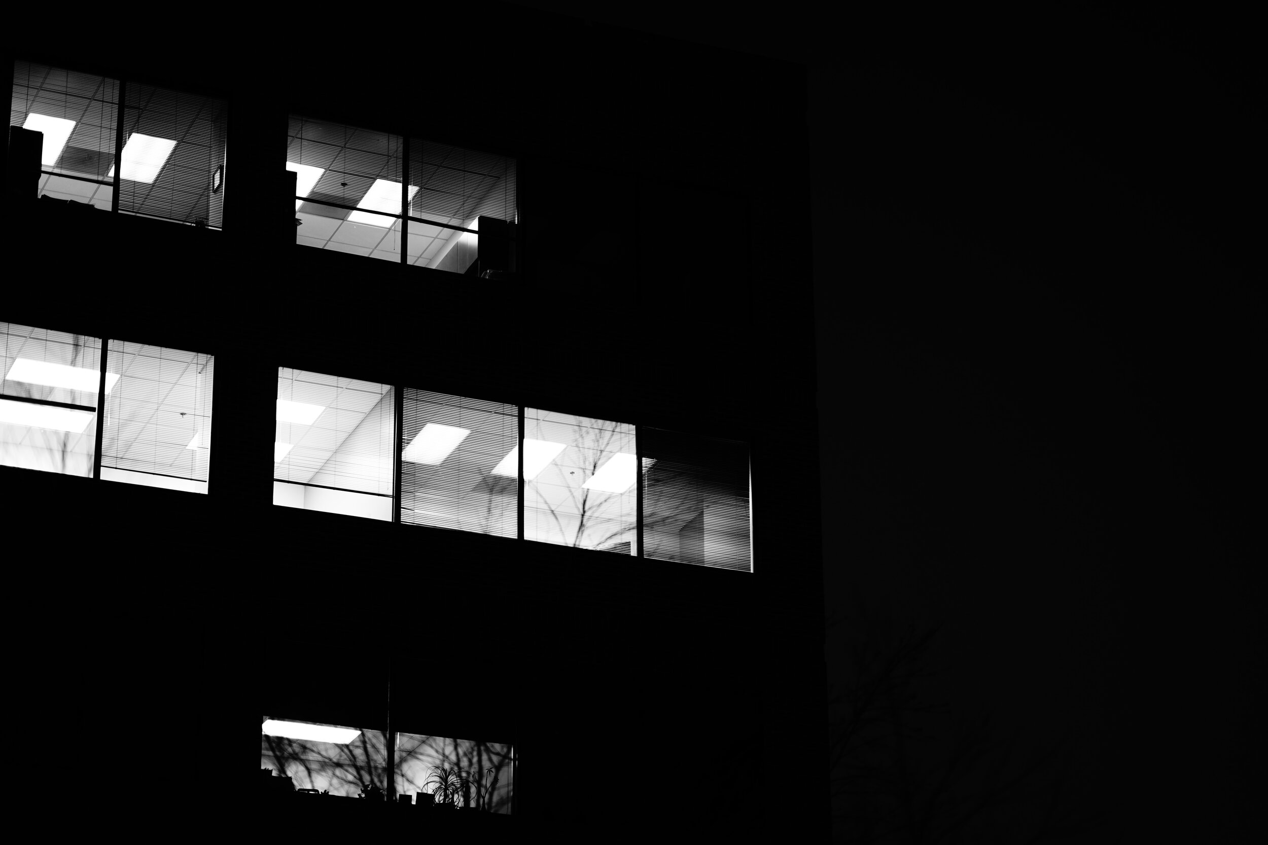 A7R05088v.jpg