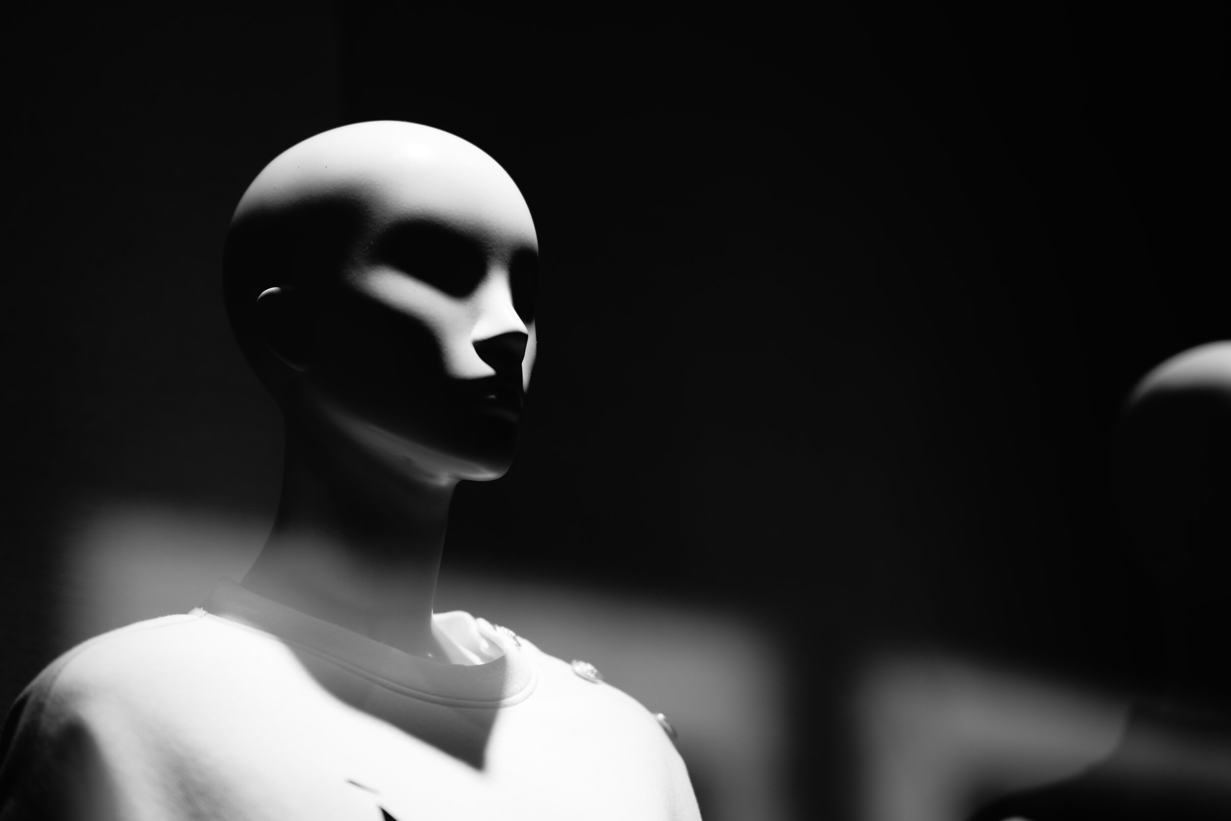 A7R05347v.jpg